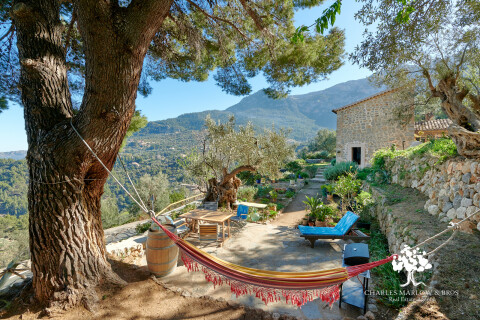 Charming Deia home surrounded by ancient olive trees