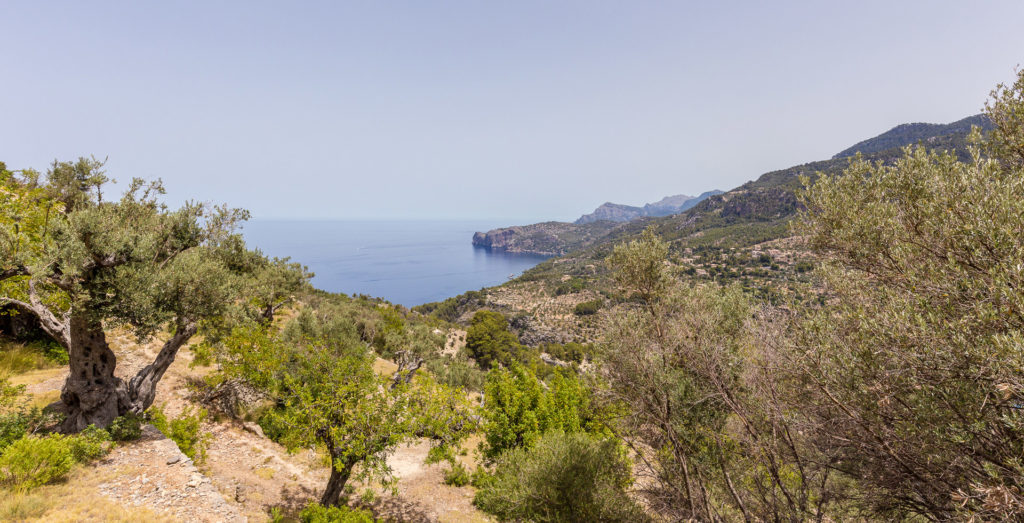 mallorcan west coast landscape