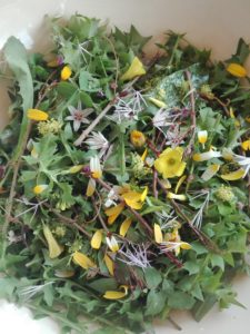 Wild spring edibles salad