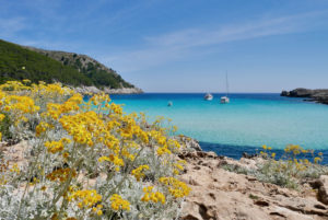 Cala Torta, beach at North East of Mallorca