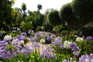 Beautiful garden by Mashamba garden design